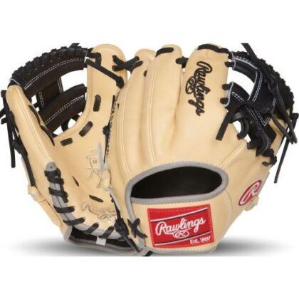 Rawlings Heart of the Hide 9.5" Baseball Training Glove: PRO200TR-2C